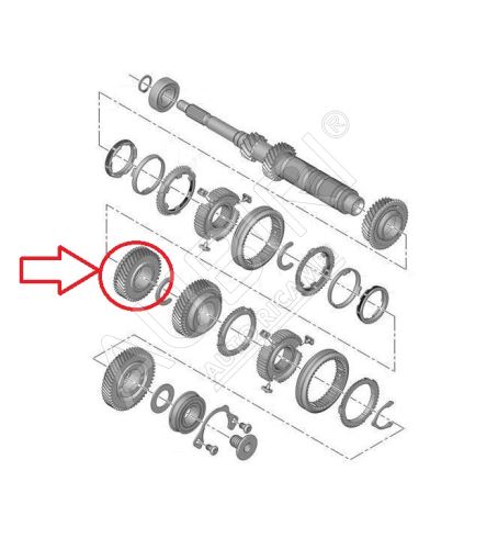 Roue dentée 4. vitesse Citroën Berlingo, Partner depuis 2008 - 43 dents