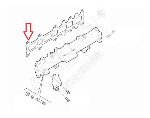 Joint de collecteur d'échappement Fiat Ducato depuis 2018 2.3D