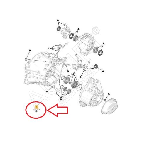 Kit de réparation de boîte de vitesses Citroën Berlingo, Partner depuis 2020 - BE4R