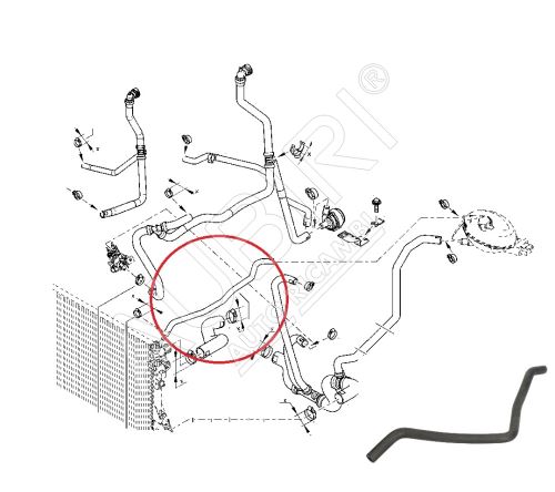 Durite de refroidissement Renault Master depuis 2010 2.3 dCi