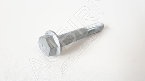 Iveco screw