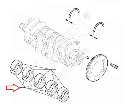 Coussinets de palier principaux Bleu force 1.832-1.836 Fiat Ducato depuis 2021 2.2D inférieur