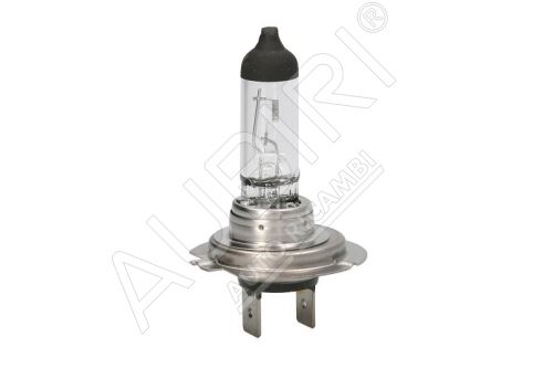 The bulb 12V H7 55W