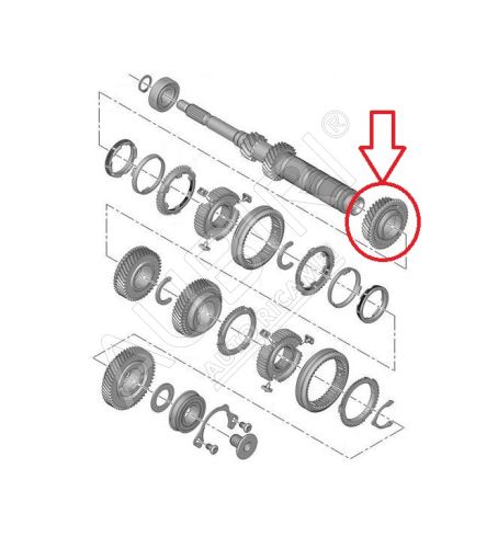 Roue dentée 3.vitesse Citroën Berlingo, Partner depuis 2008 - 32 dents