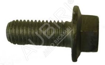 Screw Iveco M12x30mm