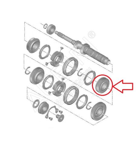 Roue dentée 4. vitesse Citroën Berlingo, Partner depuis 2008 - 40 dents