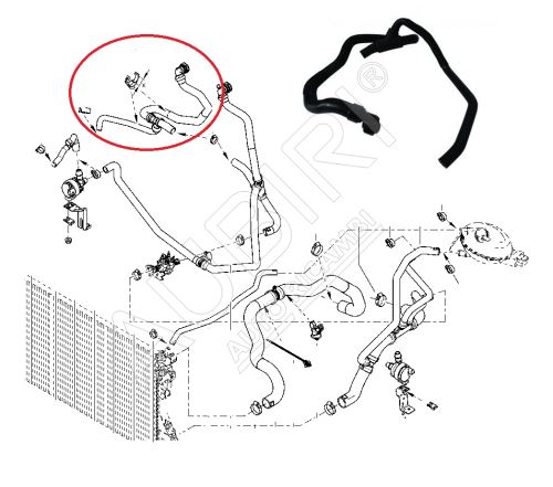 Water hose Renault Master since 2010 2.3 dCi, RWD