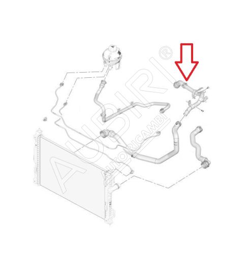 Durite de radiateur d'eau Citroën Berlingo, Partner depuis 2018 1.6 VTi droite, supérieur