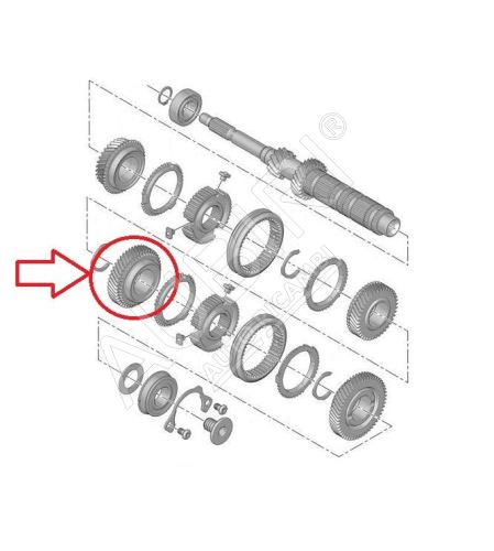 Roue dentée 5. vitesse Citroën Berlingo, Partner depuis 2008 - 49 dents