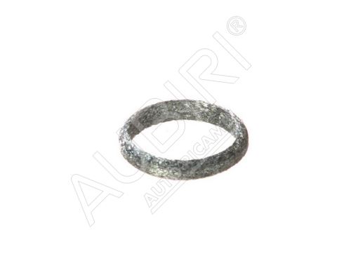 Exhaust sealing ring Fiat Ducato 244 behind the catalytic converter