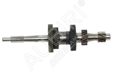 Arbre de transmission Renault Master/Trafic depuis 1998 principal PF6