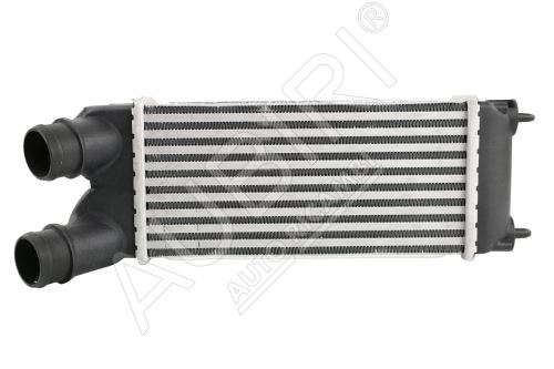 Intercooler, échangeur Citroën Berlingo, Partner 2008-2011 1.6 HDi