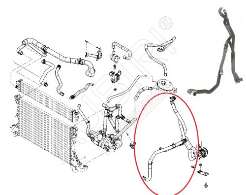 Cooling hose Renault Master 2010– 2.3 dCi