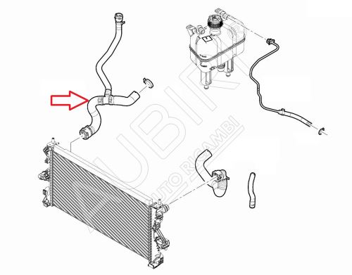 Durite de radiateur d'eau Fiat Ducato 2014-2016 2.0D droite, inférieur