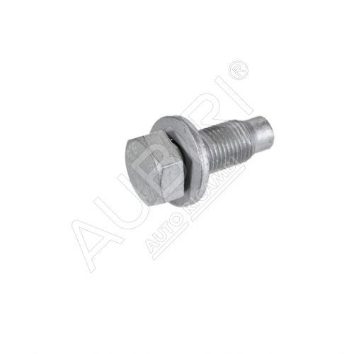 Lower arm bolt Fiat Ducato 230/244/250, Doblo 2000-2016