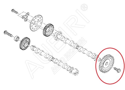 Roue dentée, arbre à cames Renault Master 2,3 came d'échappement