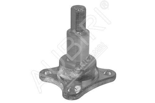 Steering knuckle Ford Transit since 2000 rear