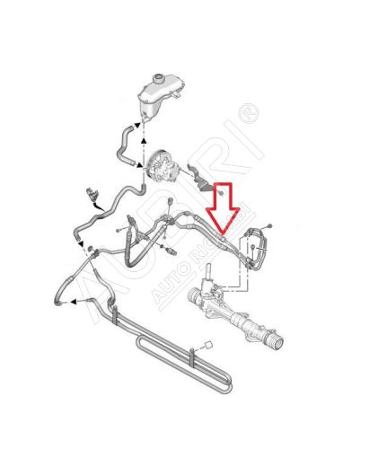 Durite de direction assistée Citroën Berlingo, Peugeot Partner 2008-2018