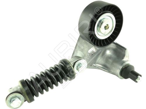 Tendeur de courroie, courroie trapézoïdale à nervures Ford Transit 2000-2006 2.0 TDCi