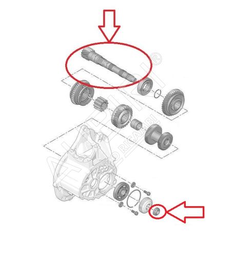 Arbre de transmission Citroën Berlingo, Partner depuis 2018 secondaire, 15/76 dents