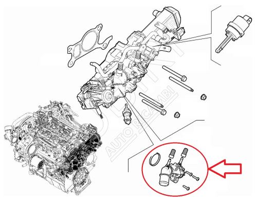 Thermostat d'eau Fiat Ducato depuis 2021 2.2D, Doblo 2016-2022 1.6D