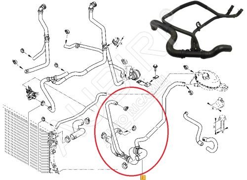 Durite de refroidissement Renault Master depuis 2010 2.3 dCi