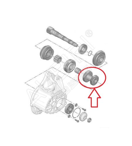 Roue dentée 3/4. vitesse Citroën Berlingo, Partner depuis 2008 - 31x40/41x39 dents