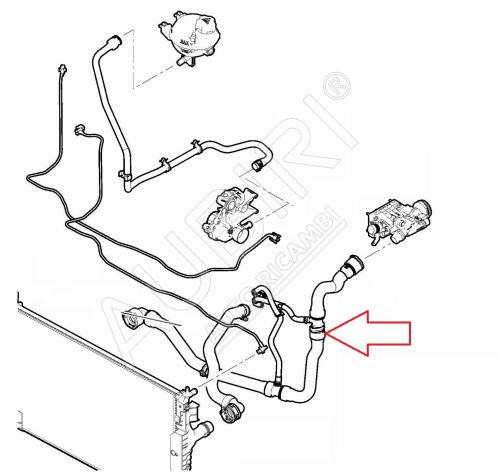 Durite de radiateur d'eau Citroën Jumpy, Berlingo depuis 2018 1.5 BlueHDi droite