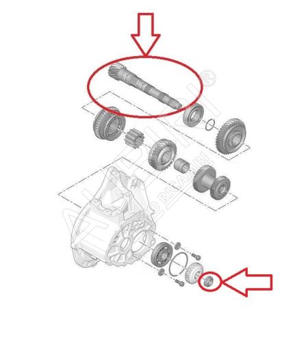 Arbre de transmission Citroën Berlingo, Partner depuis 2018 secondaire, 17/71 dents