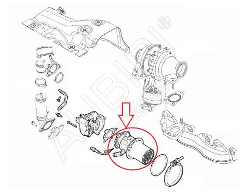 Échangeur de chaleur EGR basse pression Fiat Ducato depuis 2021 2.2D, Doblo 2016-21 1.6D