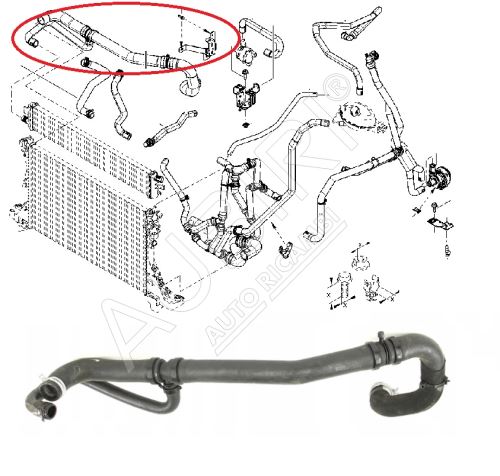 Durite de refroidissement Renault Master depuis 2010 2.3 Dci