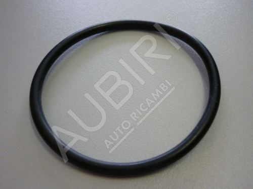 Thermostat gasket Iveco EuroCargo 75E14 O-ring