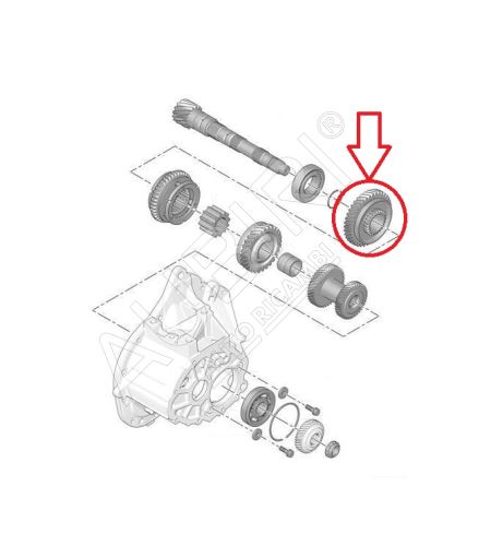 Roue dentée 1.vitesse Citroën Berlingo, Partner depuis 2008 - 38 dents