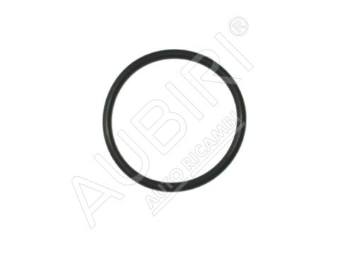 Gasket Fiat Ducato 14 2.62 x 36.17- o-ring