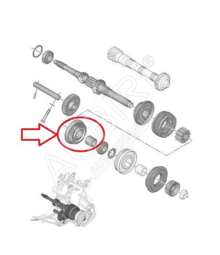 Roue dentée 4. vitesse Citroën Berlingo, Partner depuis 2008 - 46 dents