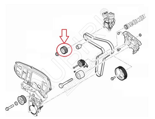 Engrenage de pompe d'injection Fiat Ducato depuis 2021 2.2D, Doblo depuis 2016 1.6D