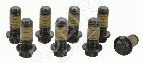 Visserie, volant moteur Fiat Ducato depuis 2006 2.2 M11x25mm