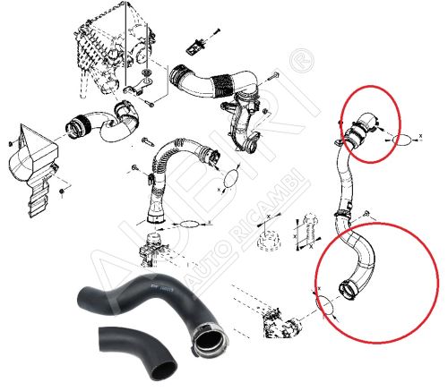 Durite de turbo Renault Trafic 2014-2019 1.6 entre l'turbo et le intercooler, kit