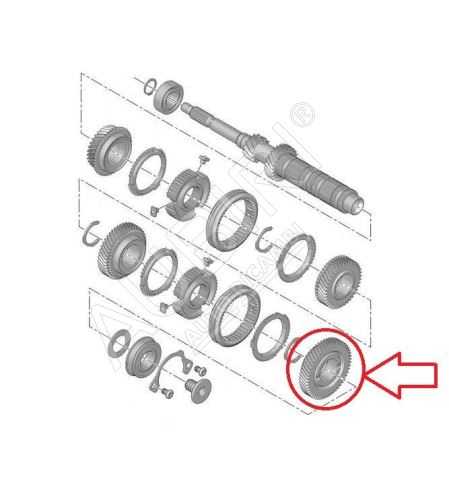 Roue dentée 6. vitesse Citroën Berlingo, Partner depuis 2008 - 59 dents