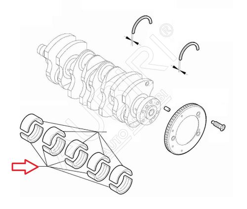 Coussinets de palier principaux Rouge force 1.832-1.836 Fiat Ducato depuis 2021 2.2D inférieur