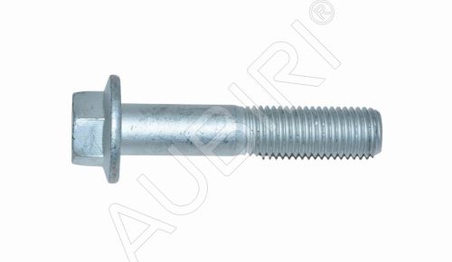 Vis de ressort à lames Iveco Daily depuis 2014 35S - M16x80 mm