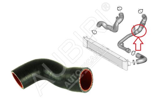 Durite de turbo Citroën Jumper 2011-2016 2.2 entre le turbo et le clapet