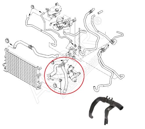 Durite de refroidissement Renault Master 2003 - 2010 2.5 dCi