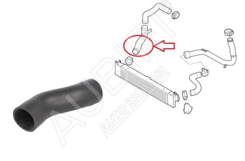 Durite de turbo Fiat Ducato depuis 2006 3.0 entre l'intercooler et le clapet