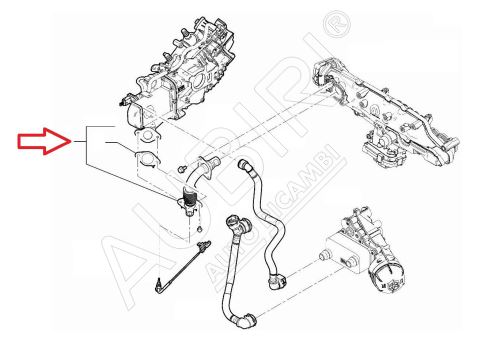 Tuyau vanne EGR Fiat Ducato depuis 2021 2.2D, Doblo 2016-2022 1.6D