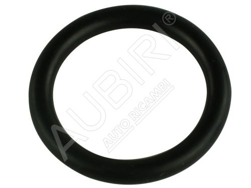 Water pipe gasket Iveco Daily 2.3