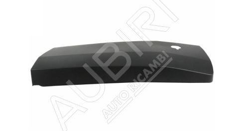 Baguette de protection Ford Transit depuis 2014 arrière, porte droite