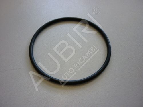 Thermostat seal Fiat Ducato F1A 2.3