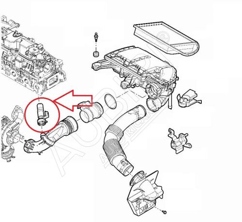 Tuyau, ventilation de carter-moteur Citroën Jumpy, Berlingo de 07 1.6D sans incandescence