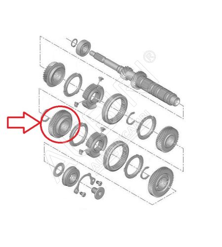 Roue dentée 5. vitesse Citroën Berlingo, Partner depuis 2008 - 46 dents